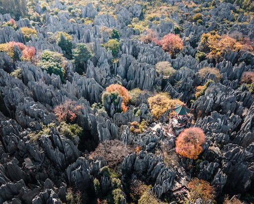 Sense of Place: Autumn in the Stone Forest in Kunming, China. Photographer: Eric Siedner